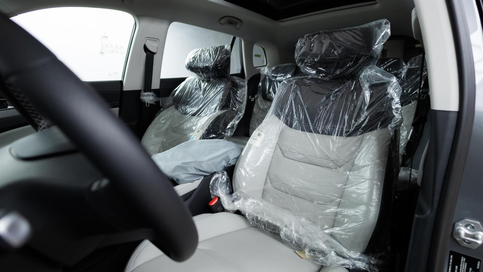 فورد تريتوري ترند